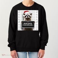 Dear Santa I Can Explain Funny Christmas Raccoon Meaningful Gift Women's Sweatshirt thumb 0