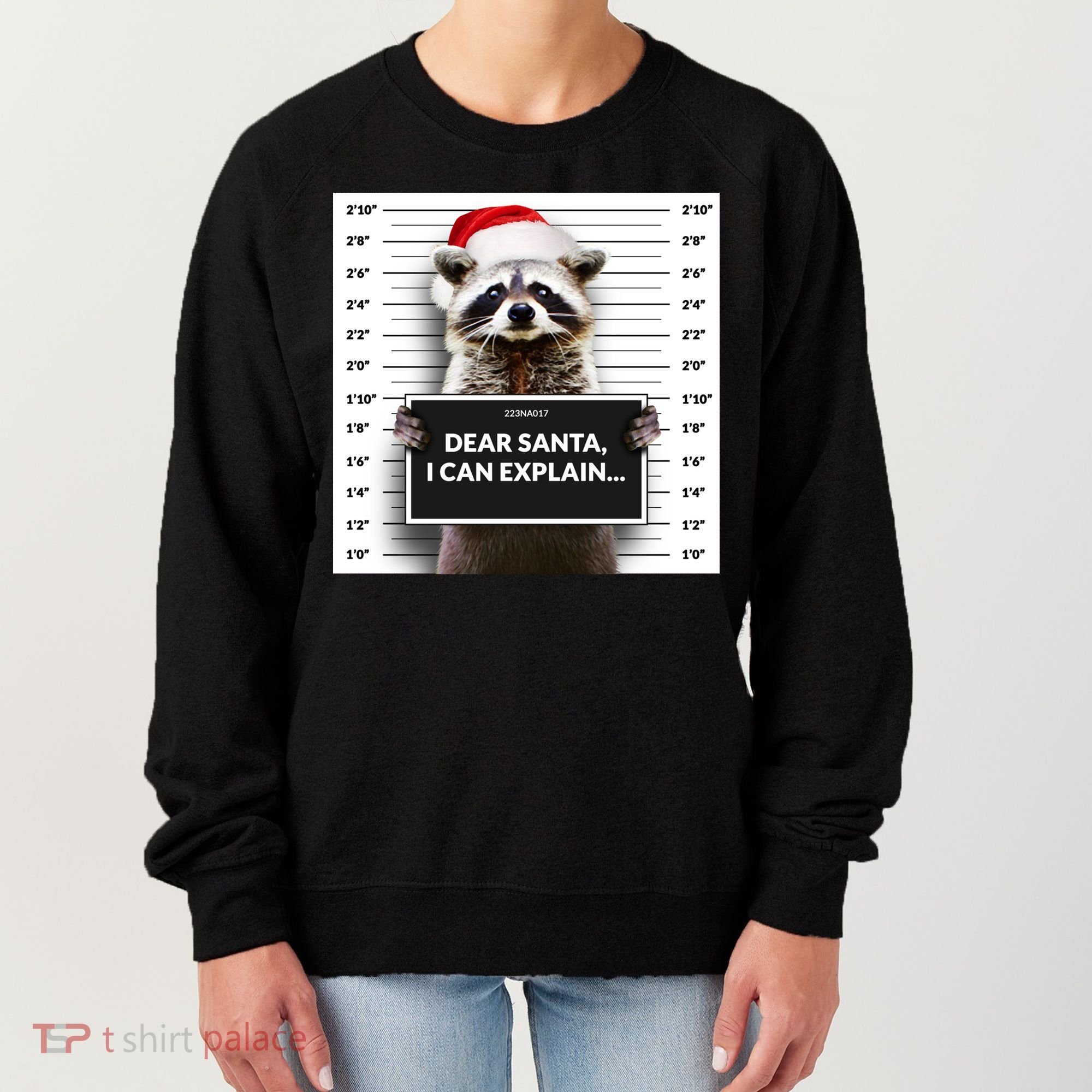 Dear Santa I Can Explain Funny Christmas Raccoon Meaningful Gift Women's Sweatshirt