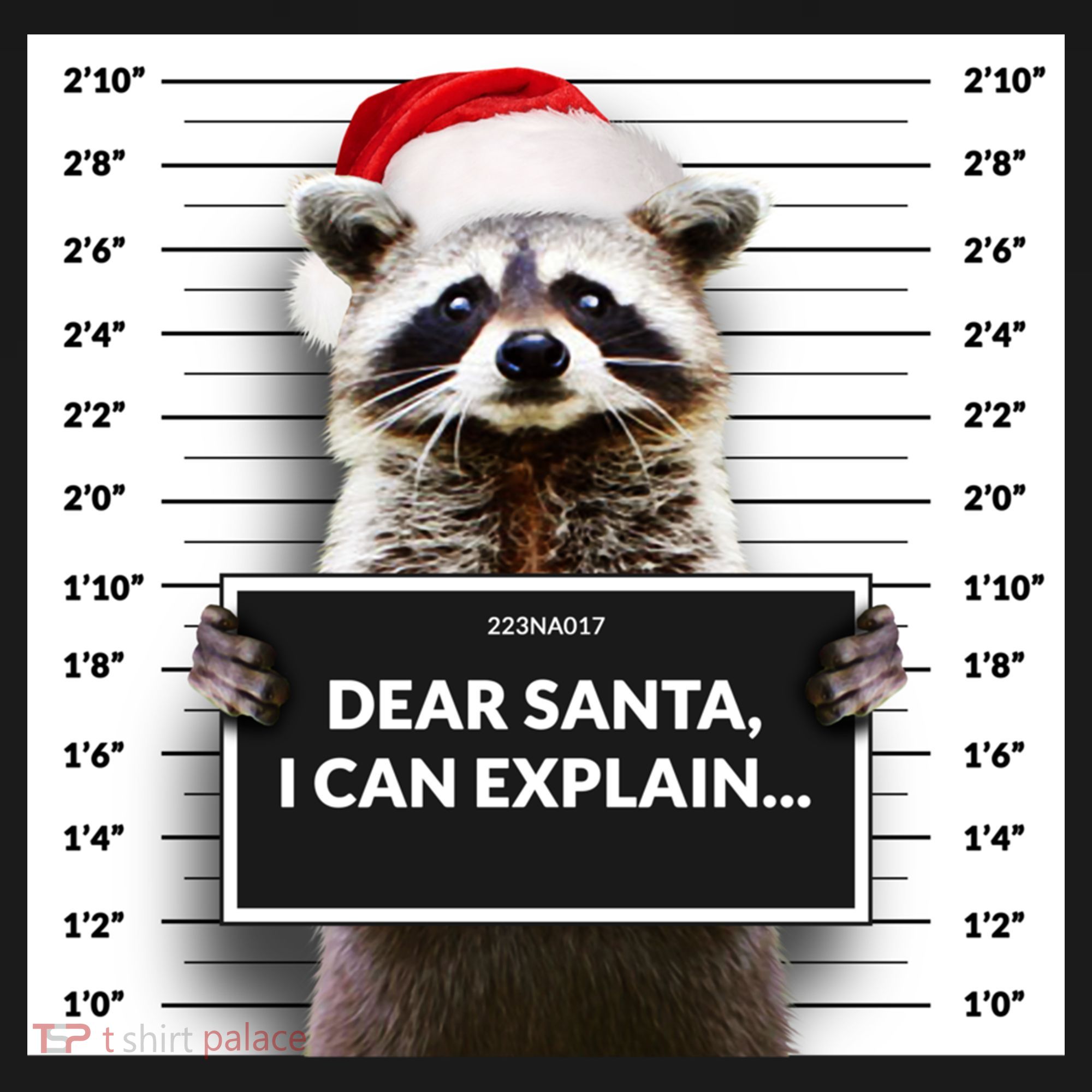 Dear Santa I Can Explain Funny Christmas Raccoon Meaningful Gift Bucket Hat