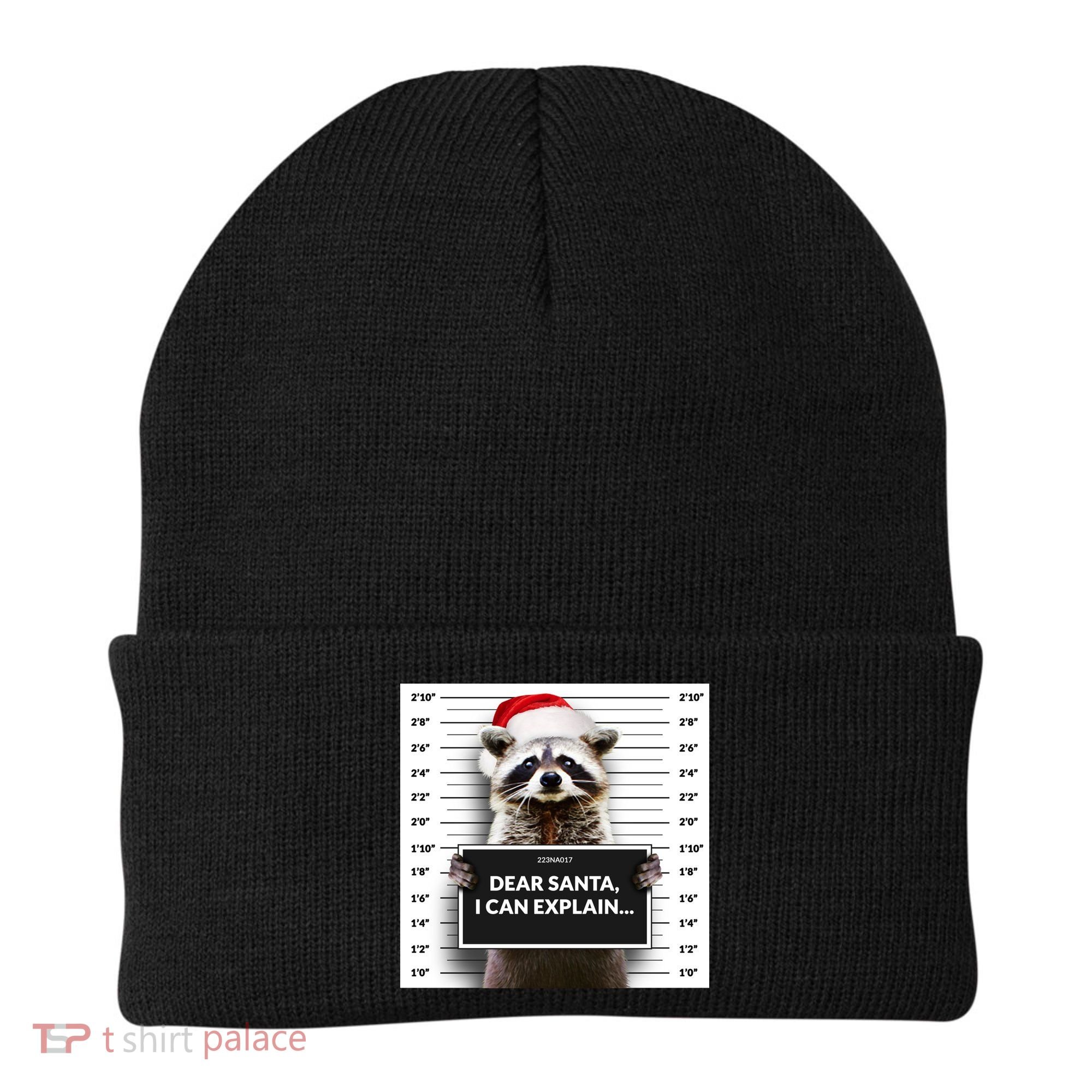 Dear Santa I Can Explain Funny Christmas Raccoon Meaningful Gift Beanie