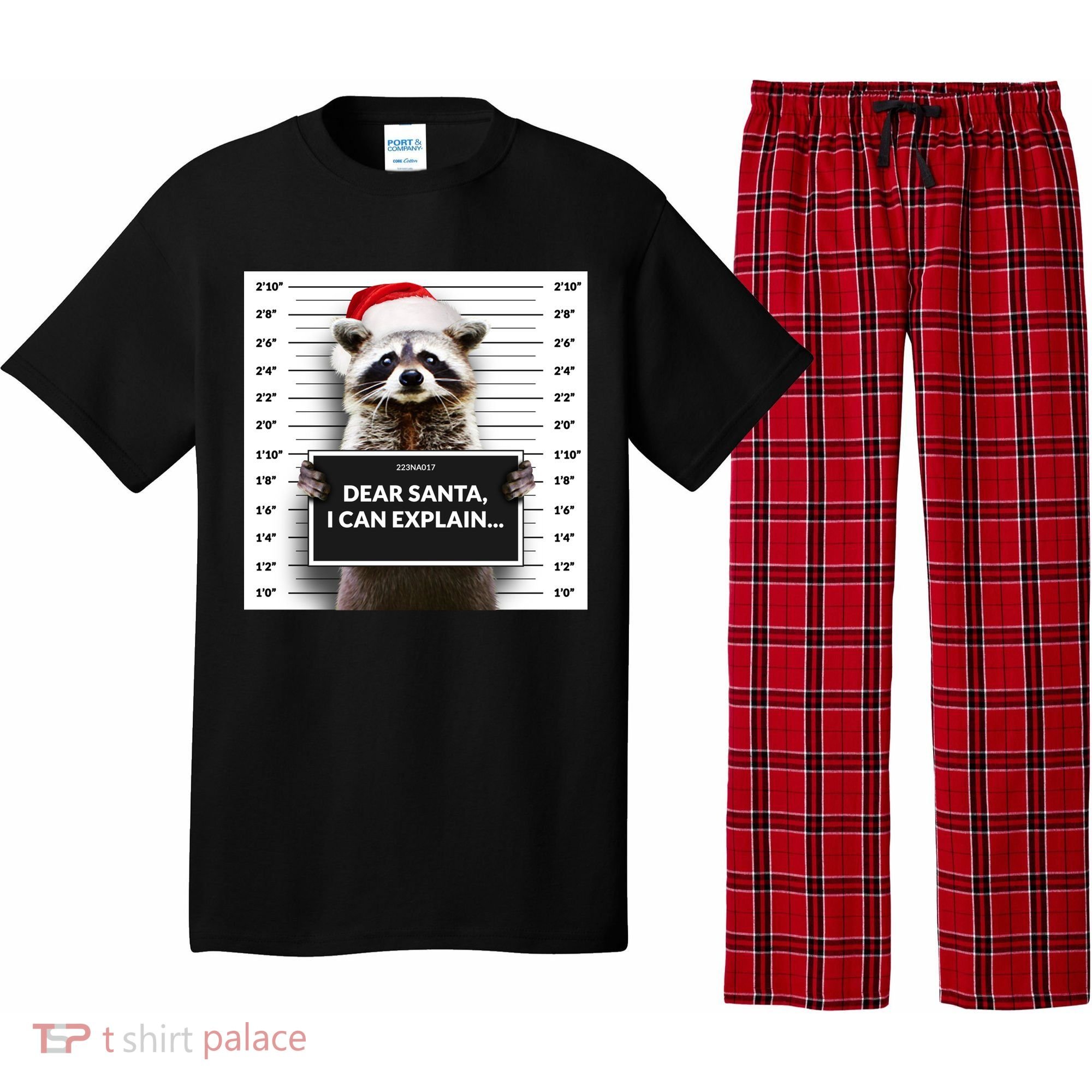 Dear Santa I Can Explain Funny Christmas Raccoon Meaningful Gift Pajama Set