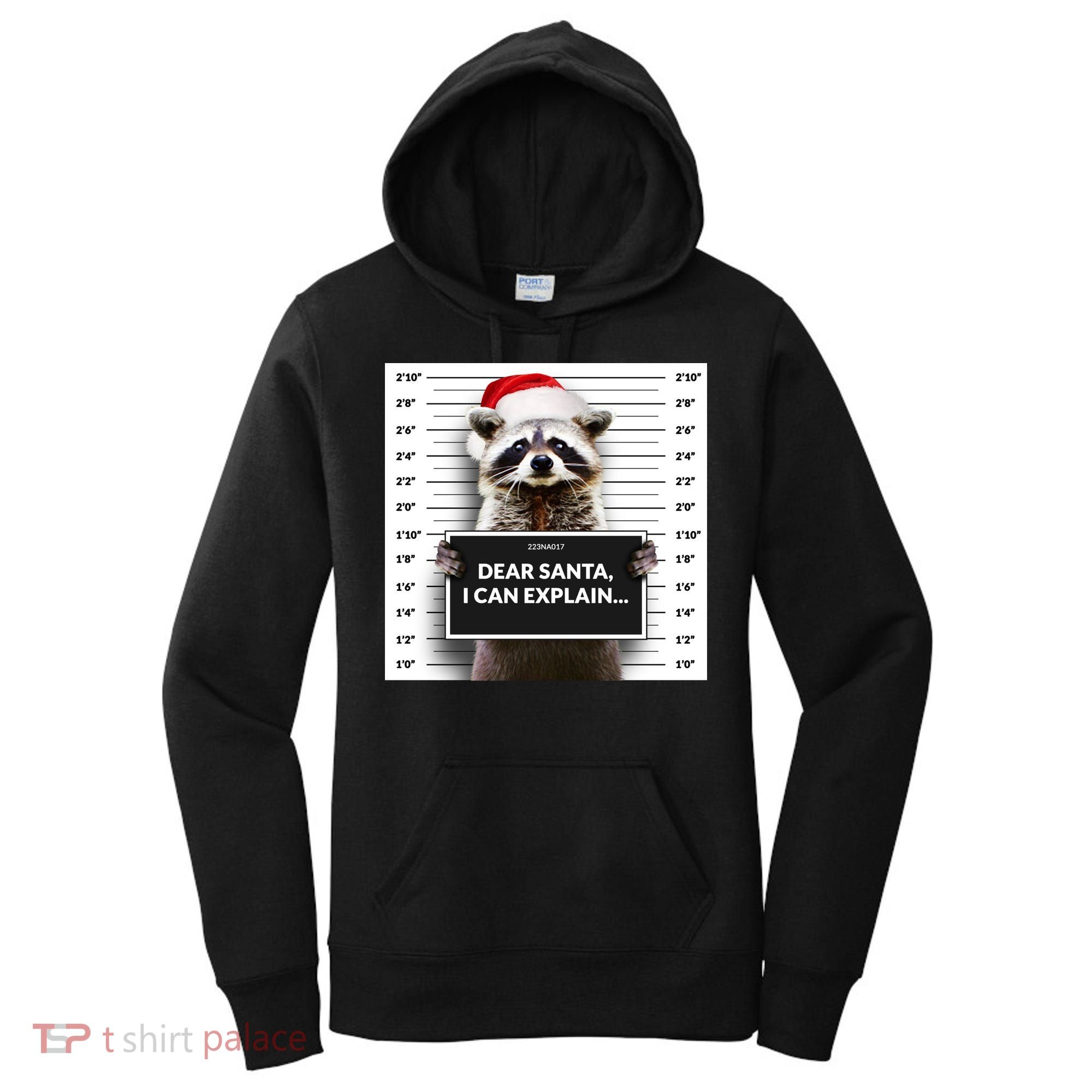 Dear Santa I Can Explain Funny Christmas Raccoon Meaningful Gift Women's Hoodie
