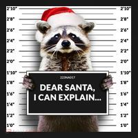 Dear Santa I Can Explain Funny Christmas Raccoon Meaningful Gift Women's Hoodie thumb 2