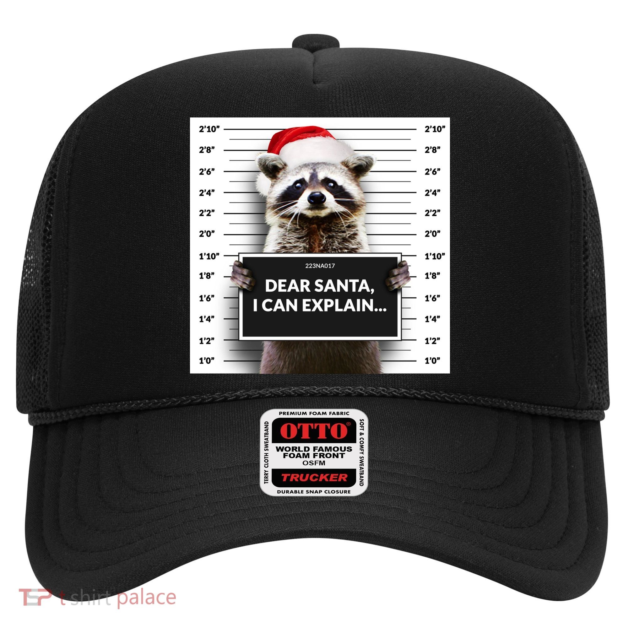 Dear Santa I Can Explain Funny Christmas Raccoon Meaningful Gift Hat