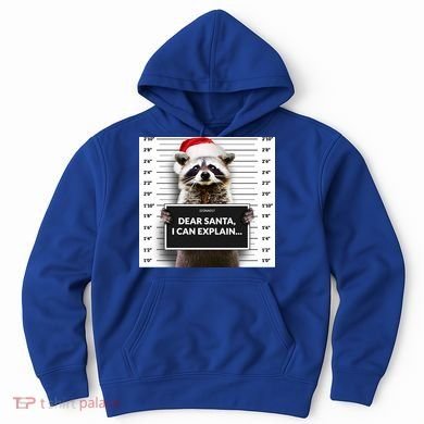Dear Santa I Can Explain Funny Christmas Raccoon Meaningful Gift Hoodie