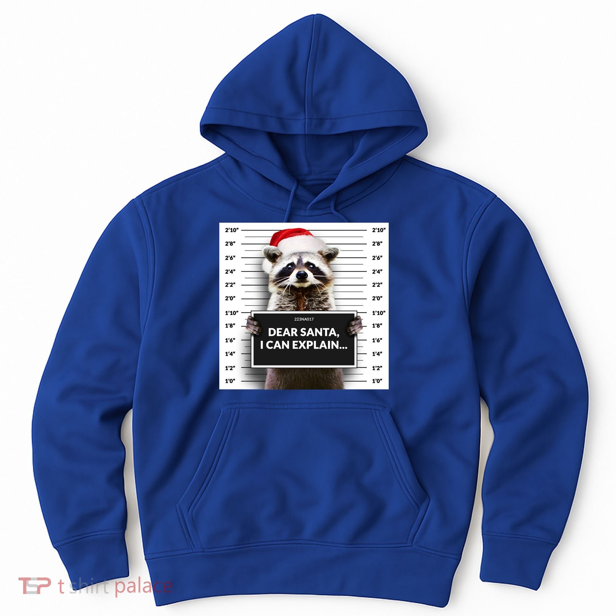 Dear Santa I Can Explain Funny Christmas Raccoon Meaningful Gift Hoodie