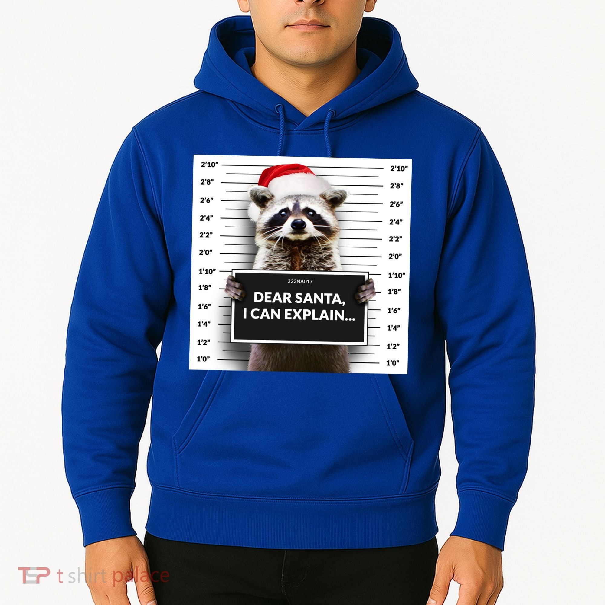 Dear Santa I Can Explain Funny Christmas Raccoon Meaningful Gift Hoodie