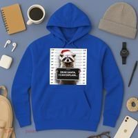 Dear Santa I Can Explain Funny Christmas Raccoon Meaningful Gift Hoodie thumb 3
