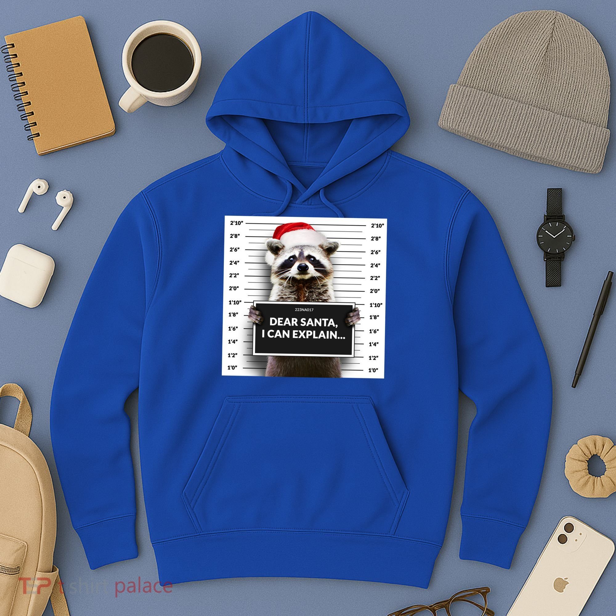 Dear Santa I Can Explain Funny Christmas Raccoon Meaningful Gift Hoodie
