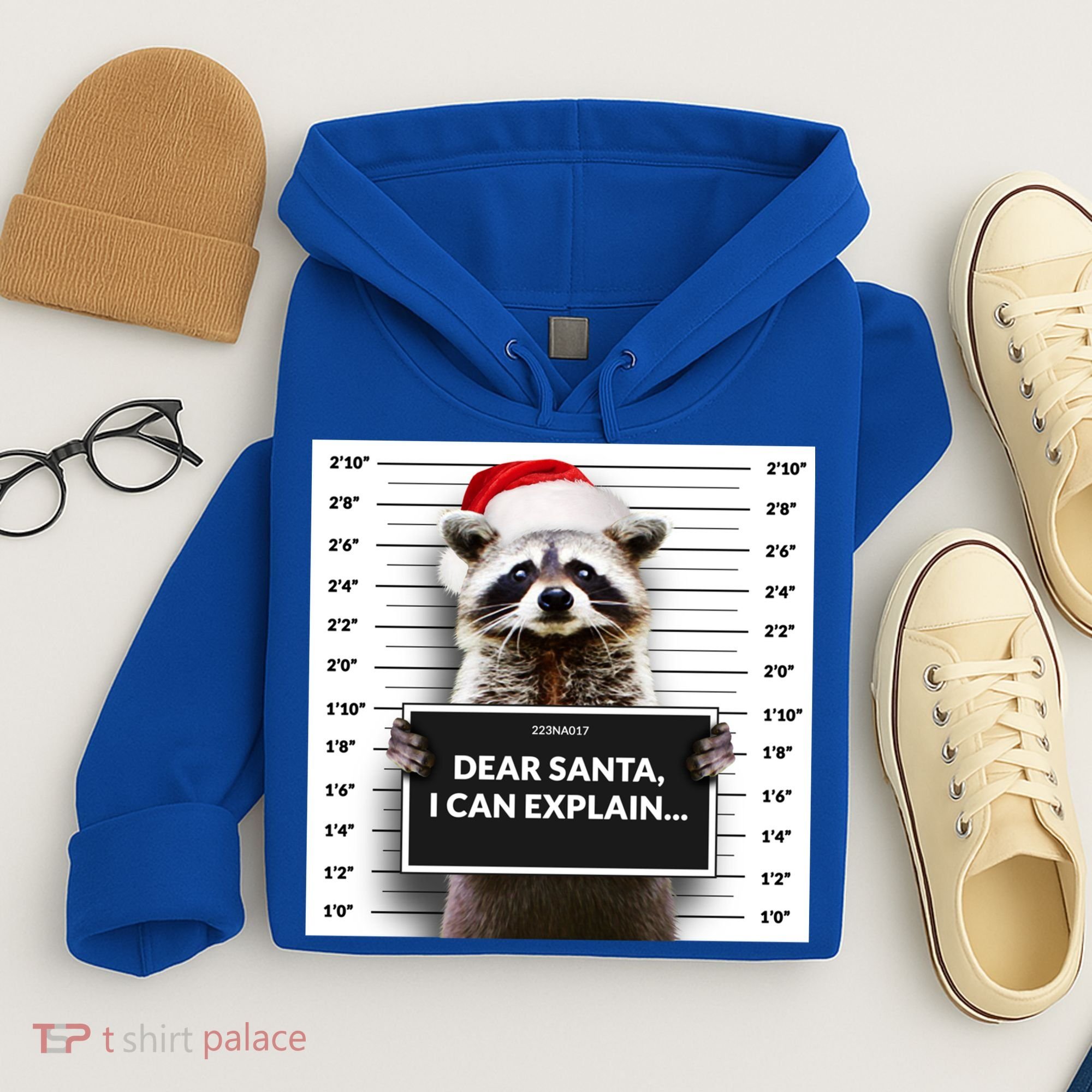 Dear Santa I Can Explain Funny Christmas Raccoon Meaningful Gift Hoodie