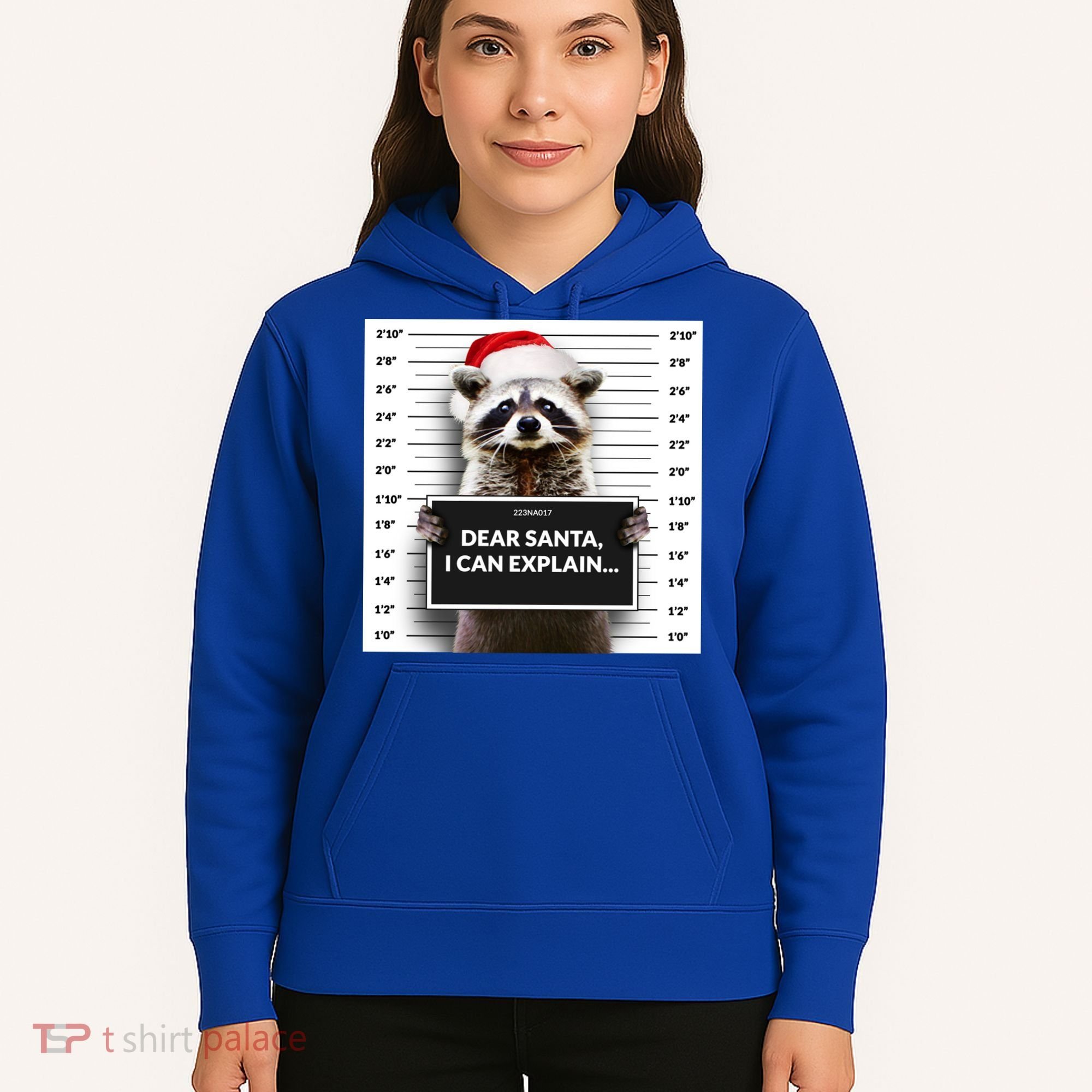 Dear Santa I Can Explain Funny Christmas Raccoon Meaningful Gift Hoodie