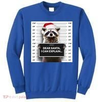 Dear Santa I Can Explain Funny Christmas Raccoon Meaningful Gift Sweatshirt thumb 0