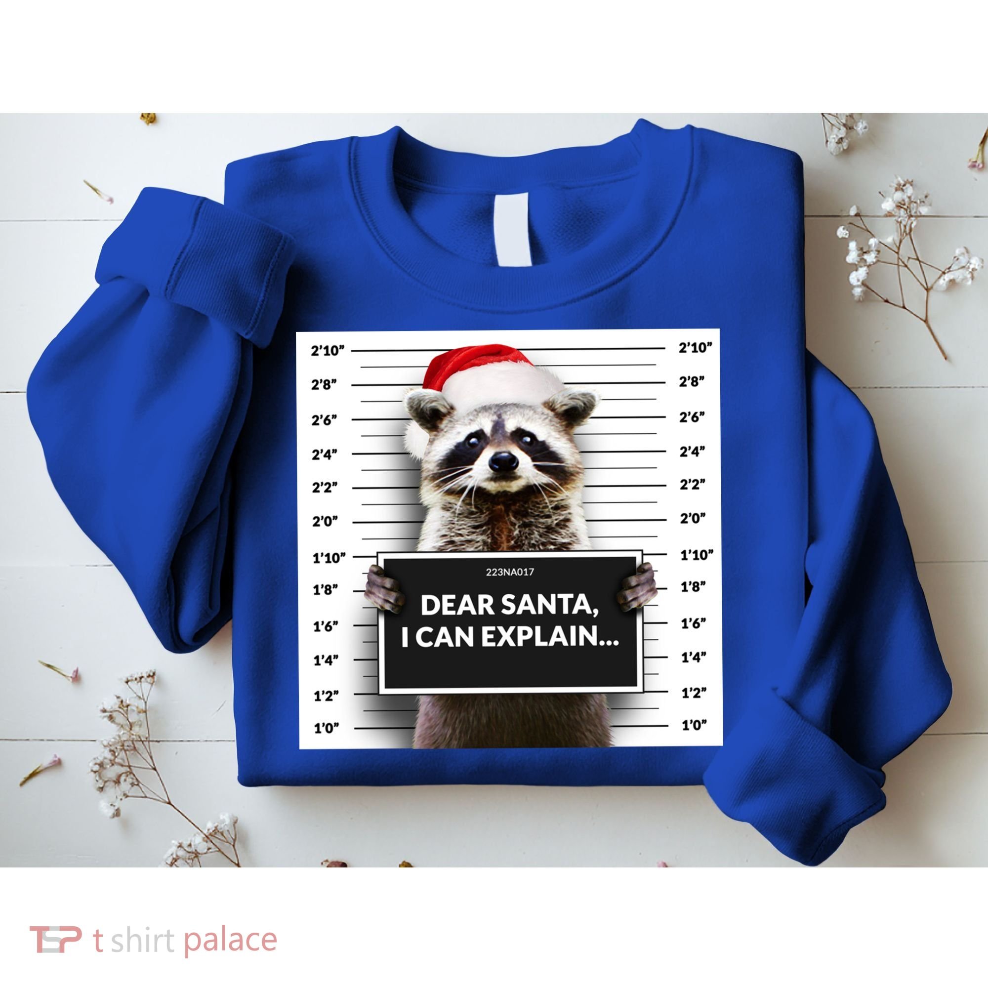 Dear Santa I Can Explain Funny Christmas Raccoon Meaningful Gift Sweatshirt