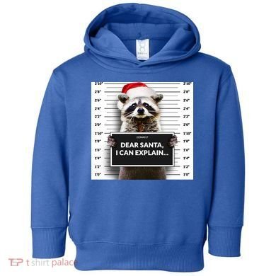 Dear Santa I Can Explain Funny Christmas Raccoon Meaningful Gift Toddler Hoodie