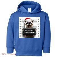Dear Santa I Can Explain Funny Christmas Raccoon Meaningful Gift Toddler Hoodie thumb 0