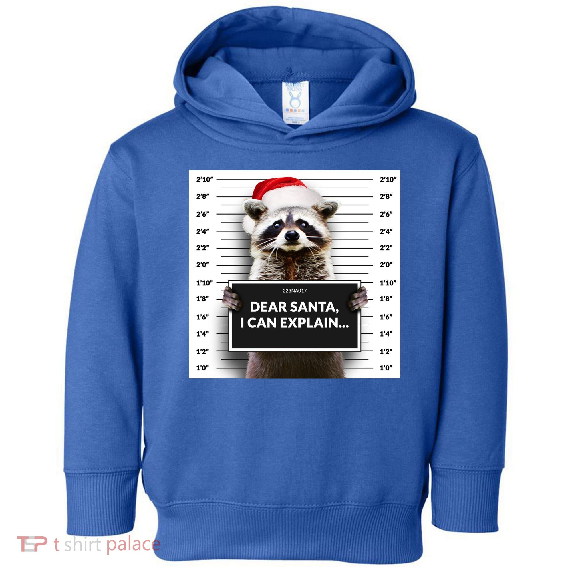 Dear Santa I Can Explain Funny Christmas Raccoon Meaningful Gift Toddler Hoodie