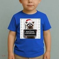 Dear Santa I Can Explain Funny Christmas Raccoon Meaningful Gift Toddler T-Shirt thumb 2