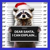 Dear Santa I Can Explain Funny Christmas Raccoon Meaningful Gift Visor thumb 3