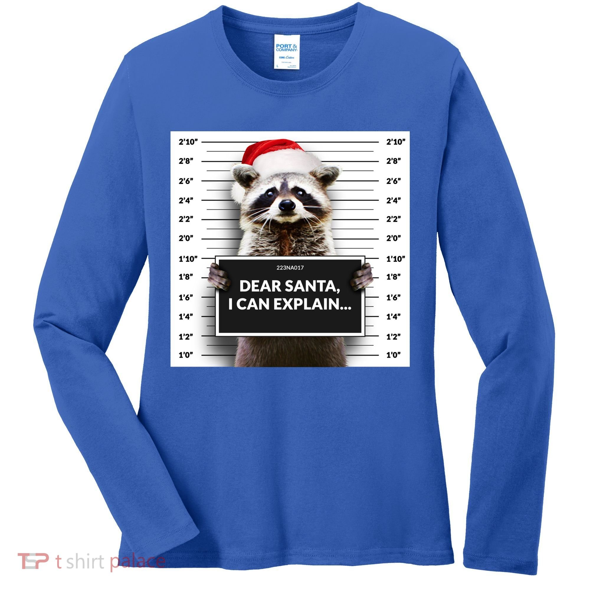 Dear Santa I Can Explain Funny Christmas Raccoon Meaningful Gift Women's Long Sleeve Shirt