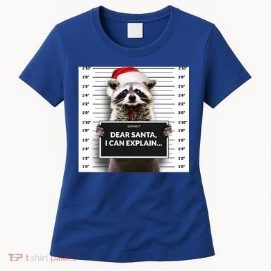 Dear Santa I Can Explain Funny Christmas Raccoon Meaningful Gift Women's T-Shirt