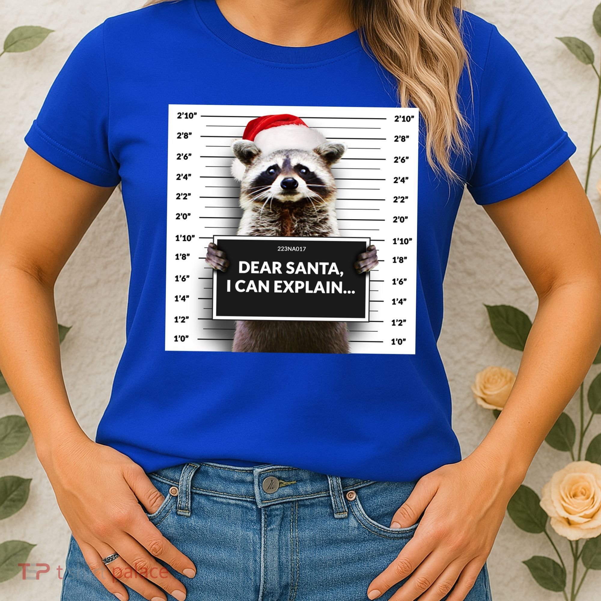 Dear Santa I Can Explain Funny Christmas Raccoon Meaningful Gift Women's T-Shirt