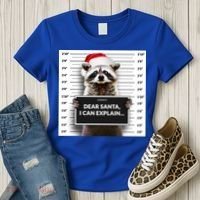 Dear Santa I Can Explain Funny Christmas Raccoon Meaningful Gift Women's T-Shirt thumb 3