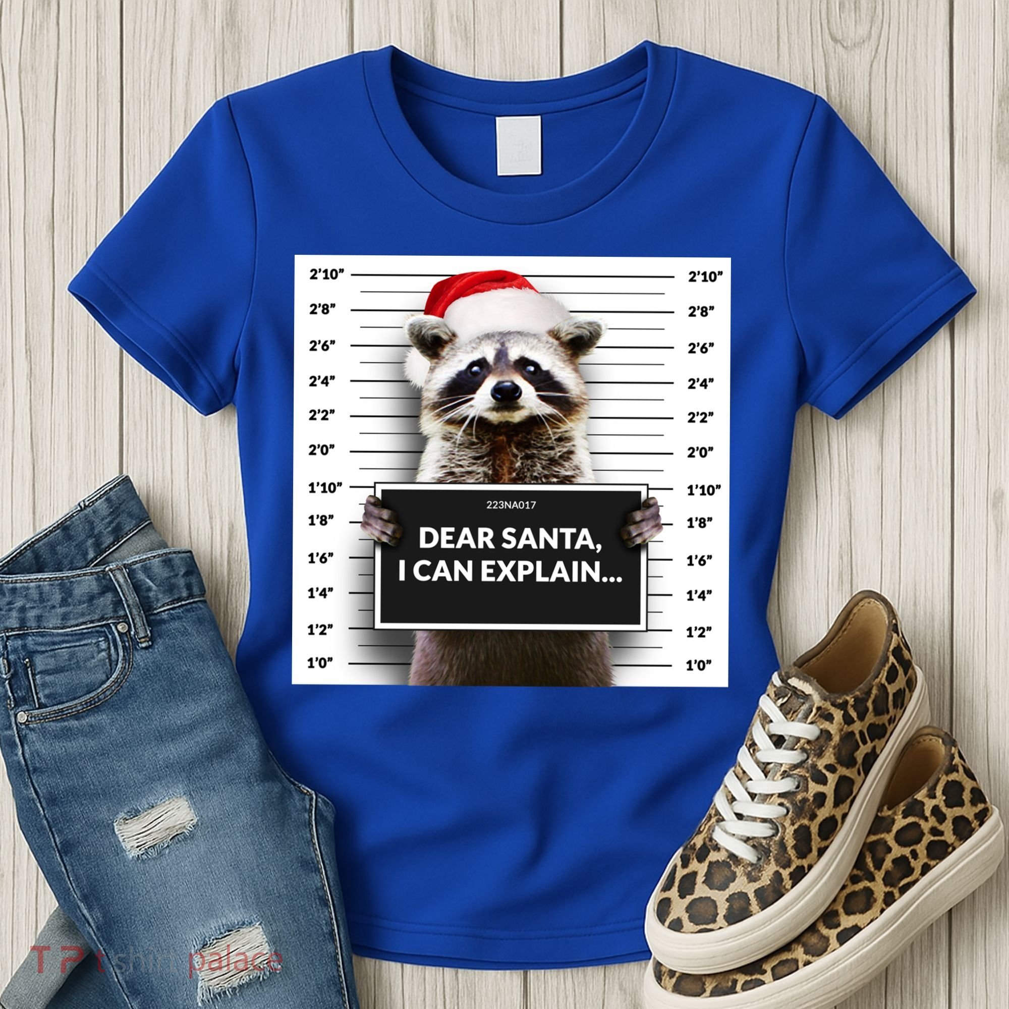 Dear Santa I Can Explain Funny Christmas Raccoon Meaningful Gift Women's T-Shirt