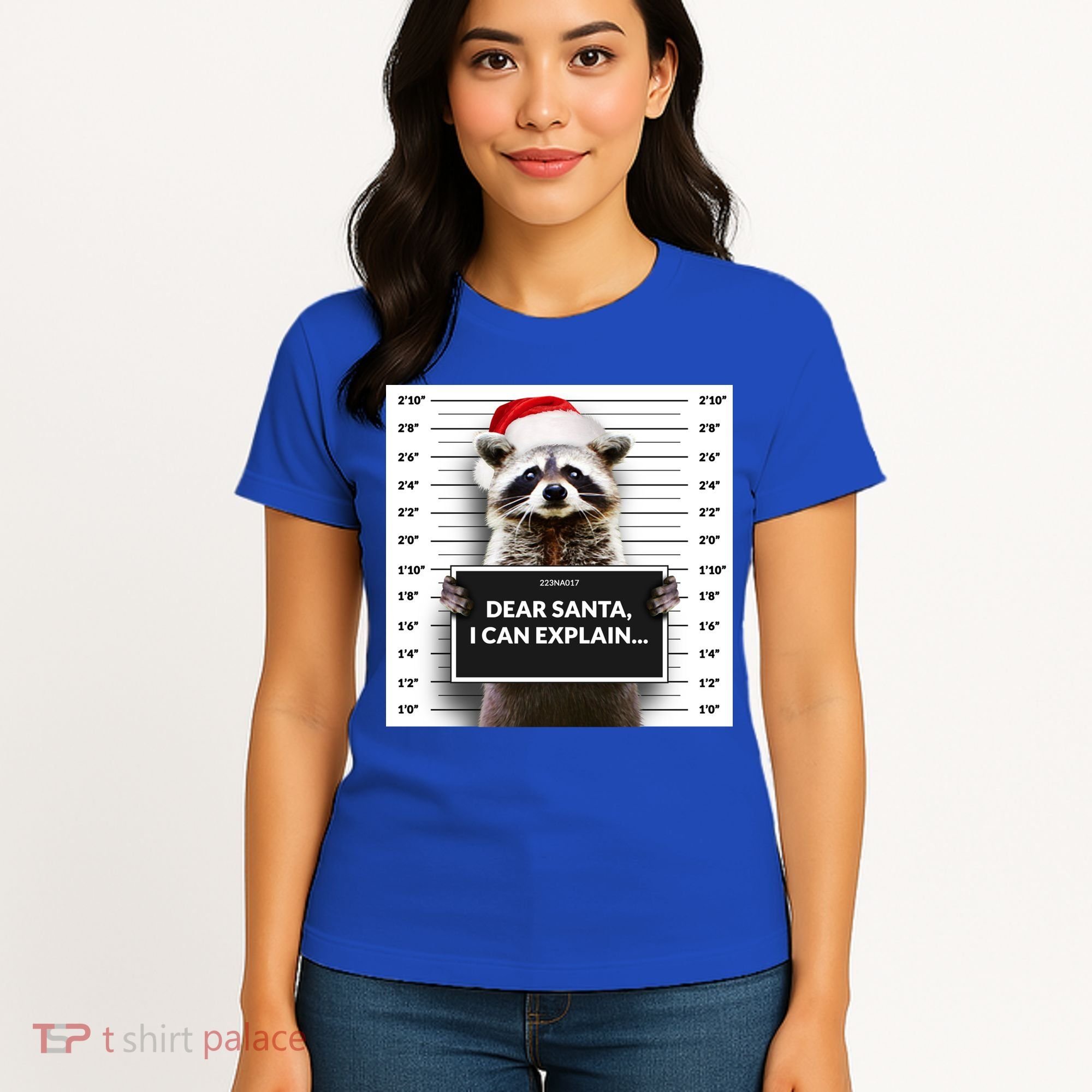 Dear Santa I Can Explain Funny Christmas Raccoon Meaningful Gift Women's T-Shirt
