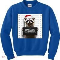 Dear Santa I Can Explain Funny Christmas Raccoon Meaningful Gift Kids Sweatshirt thumb 0