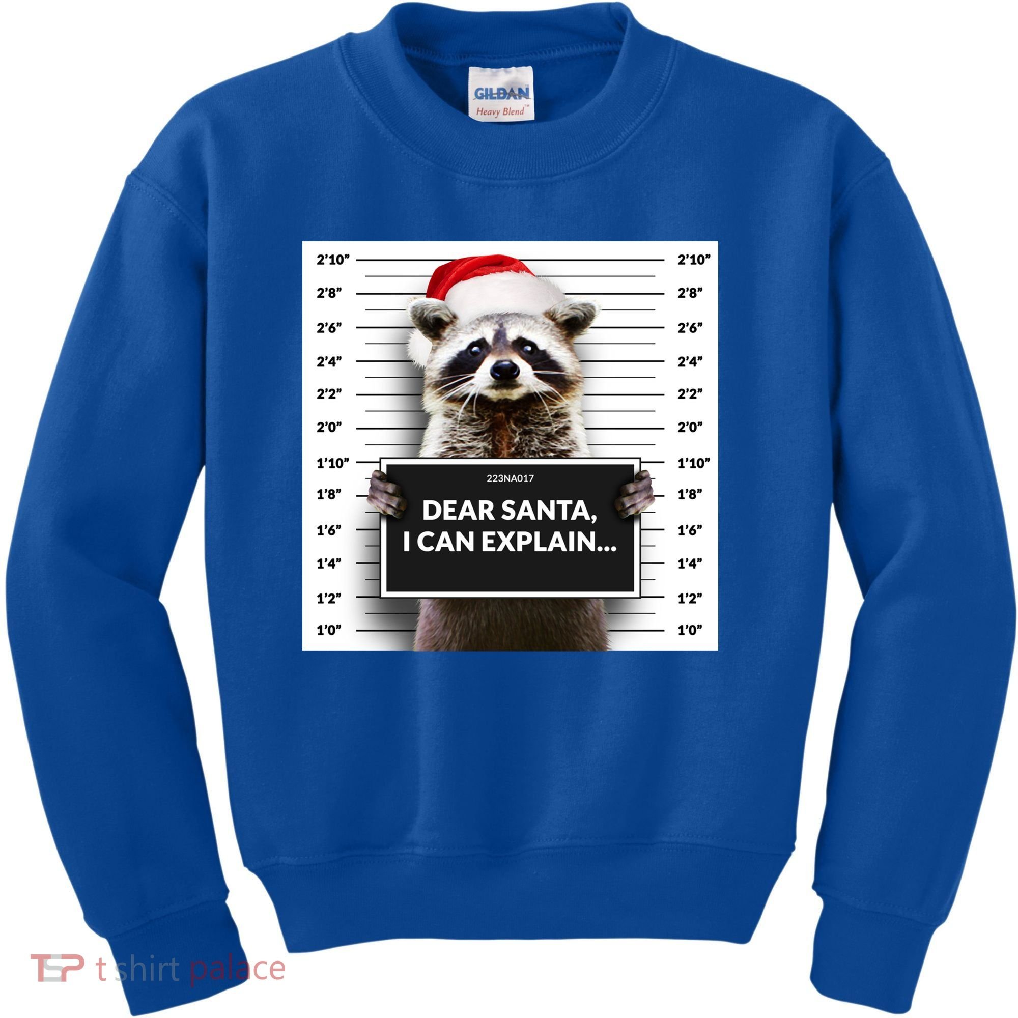 Dear Santa I Can Explain Funny Christmas Raccoon Meaningful Gift Kids Sweatshirt