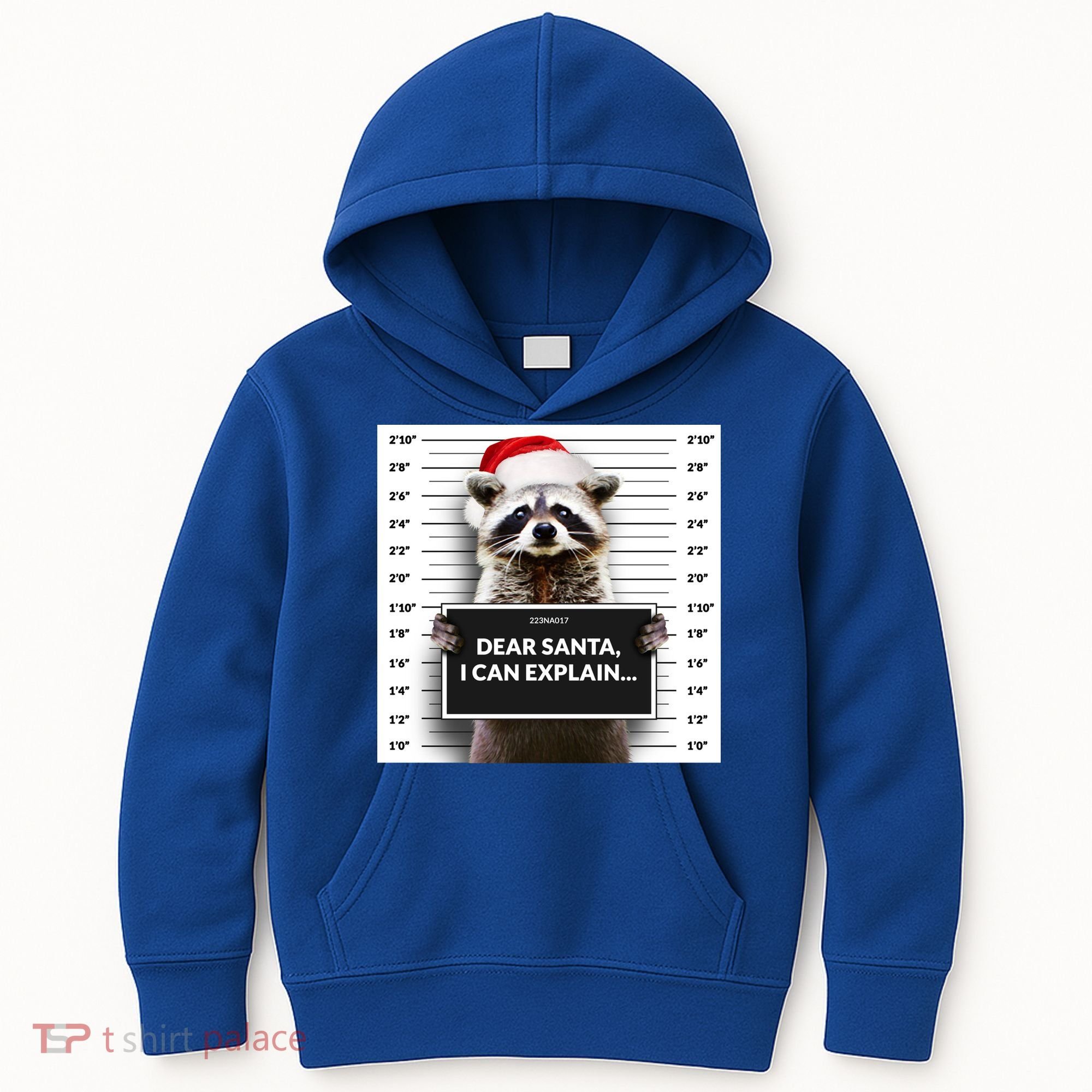 Dear Santa I Can Explain Funny Christmas Raccoon Meaningful Gift Kids Hoodie