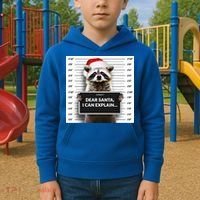 Dear Santa I Can Explain Funny Christmas Raccoon Meaningful Gift Kids Hoodie thumb 2
