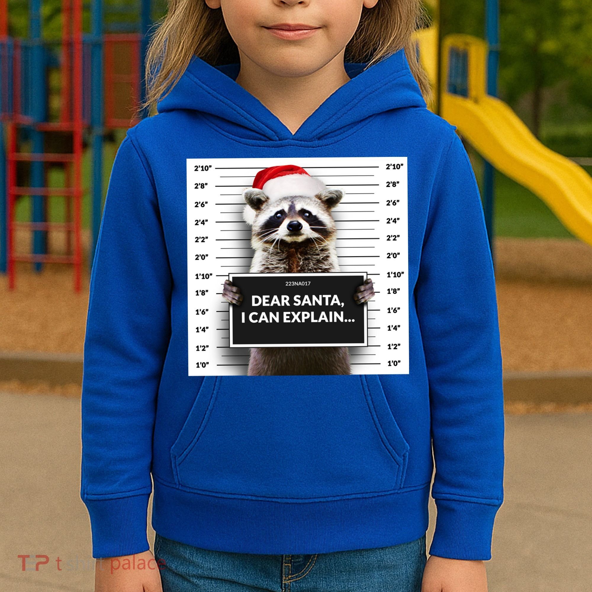 Dear Santa I Can Explain Funny Christmas Raccoon Meaningful Gift Kids Hoodie