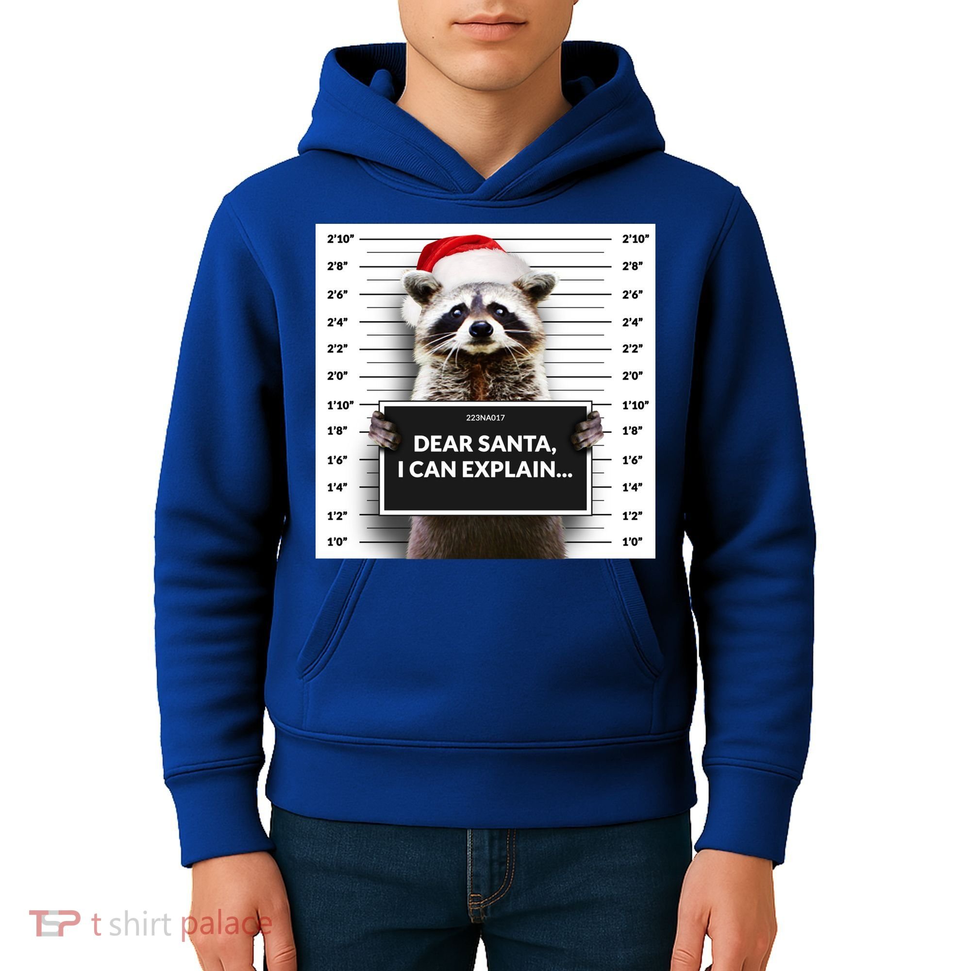 Dear Santa I Can Explain Funny Christmas Raccoon Meaningful Gift Kids Hoodie