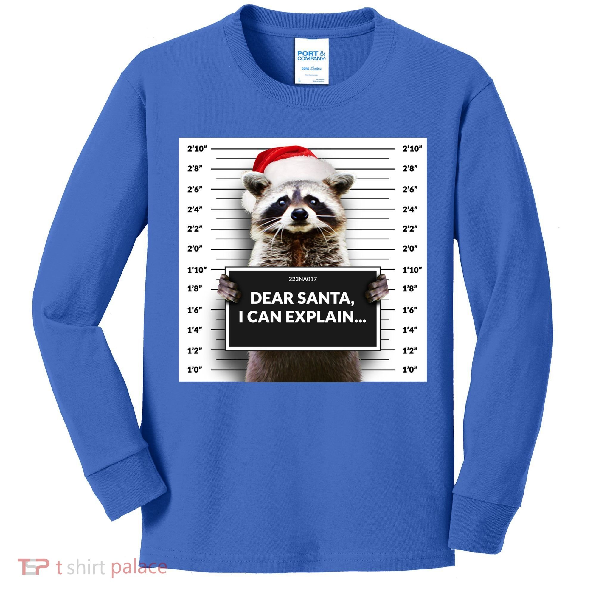 Dear Santa I Can Explain Funny Christmas Raccoon Meaningful Gift Kids Long Sleeve Shirt