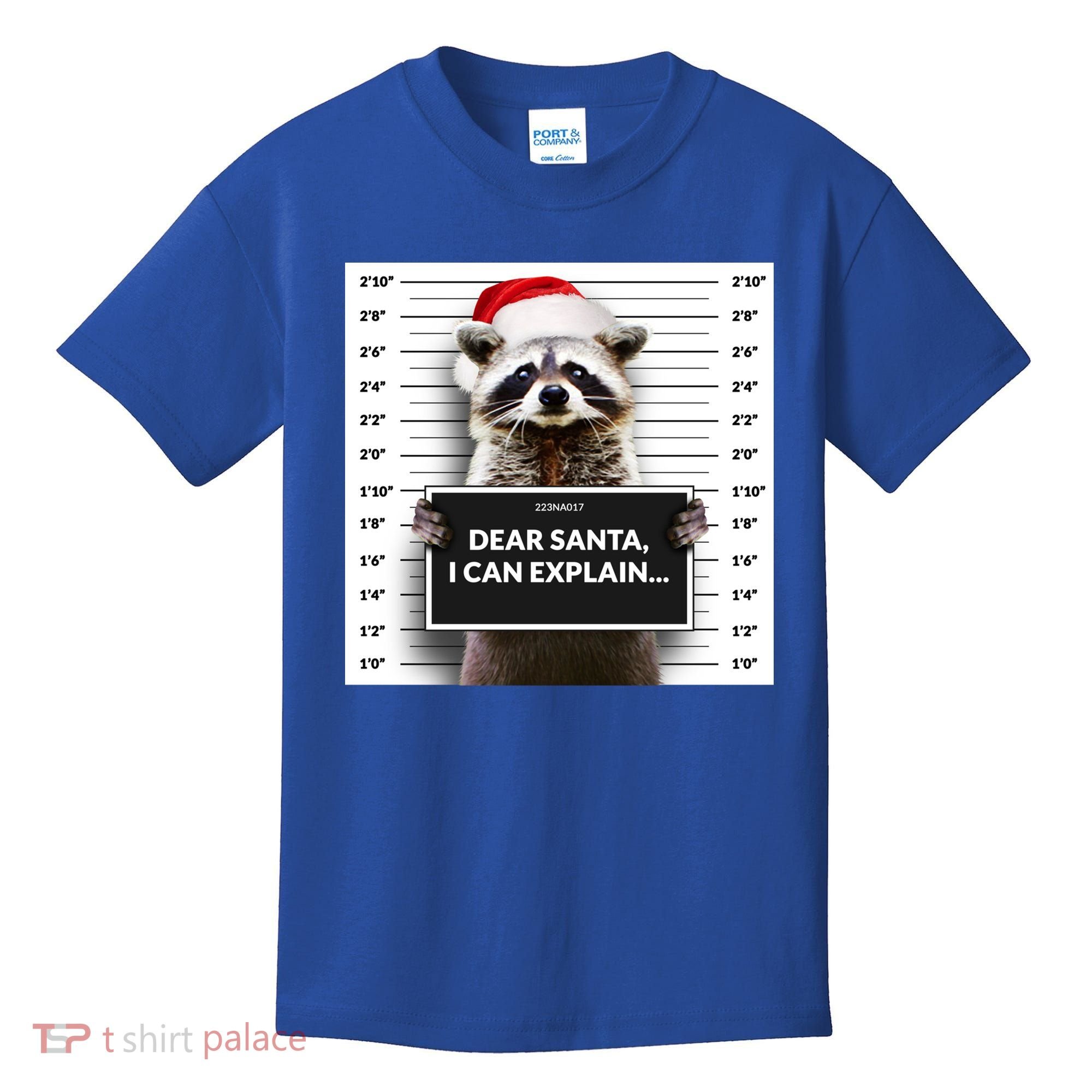 Dear Santa I Can Explain Funny Christmas Raccoon Meaningful Gift Kids T-Shirt