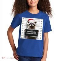Dear Santa I Can Explain Funny Christmas Raccoon Meaningful Gift Kids T-Shirt thumb 2