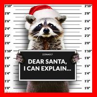Dear Santa I Can Explain Funny Christmas Raccoon Meaningful Gift Santa Hat thumb 1