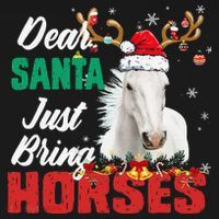 Dear Santa Just Bring Horses Lovers Christmas Xmas Funny Women's Hoodie thumb 2