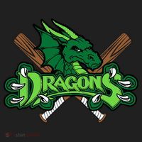 Dragons Sports Logo Tumbler thumb 3