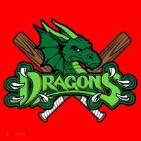 Dragons Sports Logo Santa Hat thumb 1