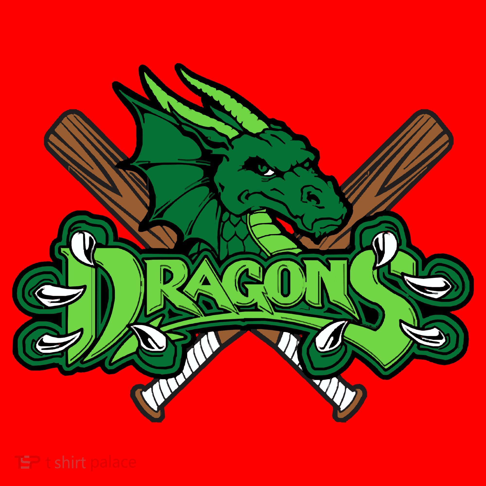 Dragons Sports Logo Santa Hat