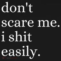 DonT Scare Me I Shit Easily Funny Sarcasm Quote Ornament thumb 1