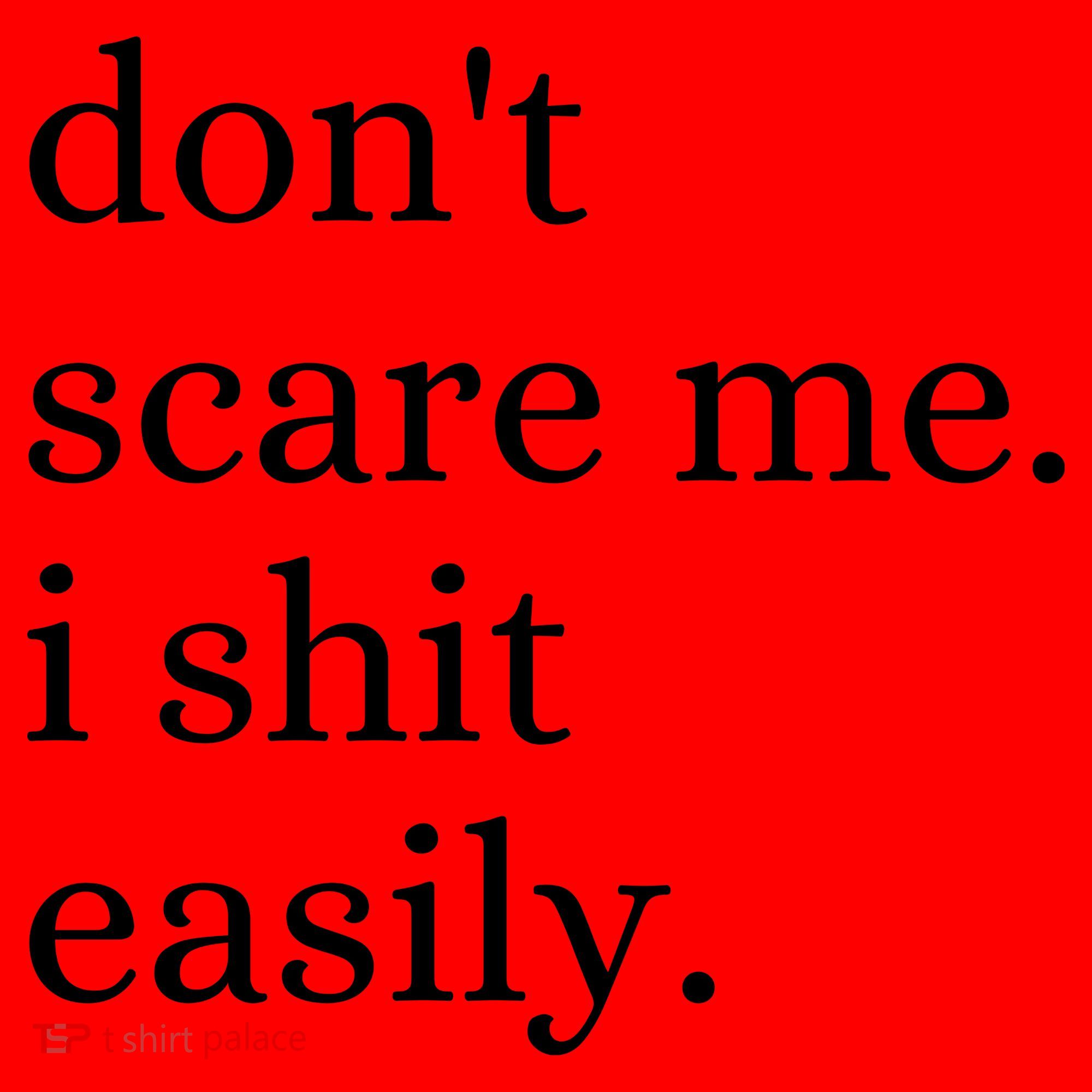 DonT Scare Me I Shit Easily Funny Sarcasm Quote Santa Hat