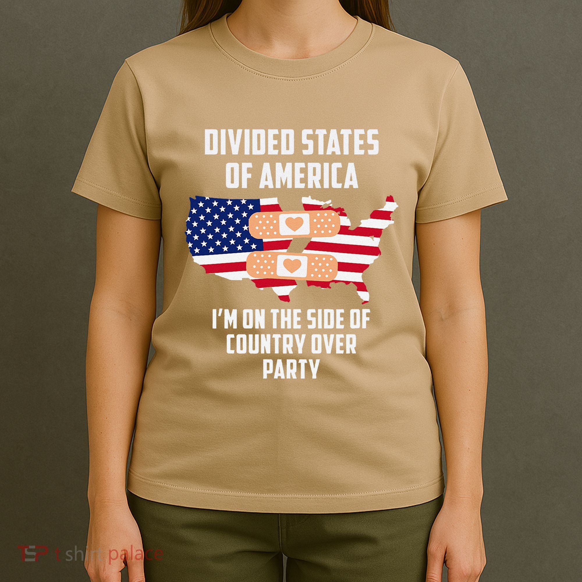 Divided States Of America Patriotic Love Country Over Party T-Shirt