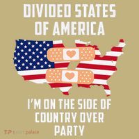 Divided States Of America Patriotic Love Country Over Party T-Shirt thumb 7