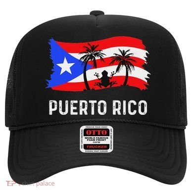Distressed Style Puerto Rico Frog Puerto Rico Hat