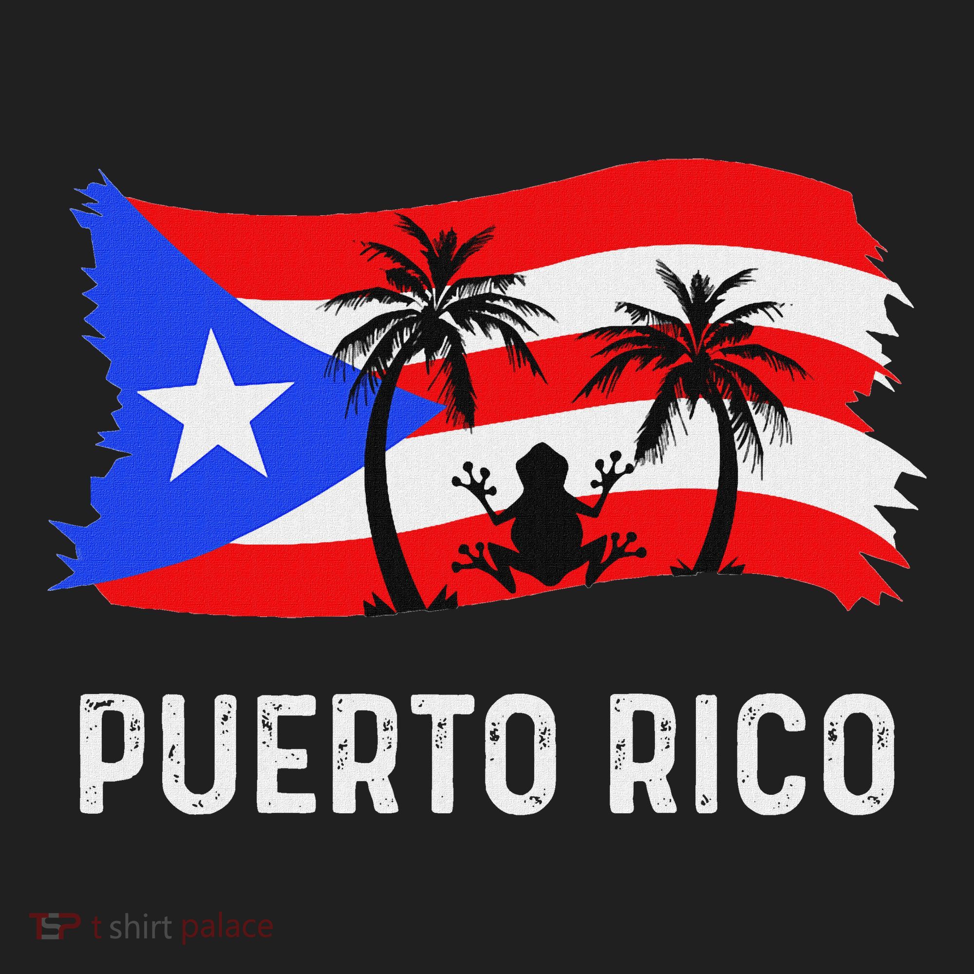 Distressed Style Puerto Rico Frog Puerto Rico Hat