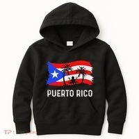 Distressed Style Puerto Rico Frog Puerto Rico Kids Hoodie thumb 0