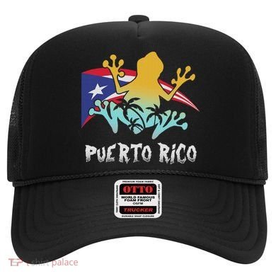 Distressed Style Puerto Rico Frog Gift Design Puerto Rico! Hat